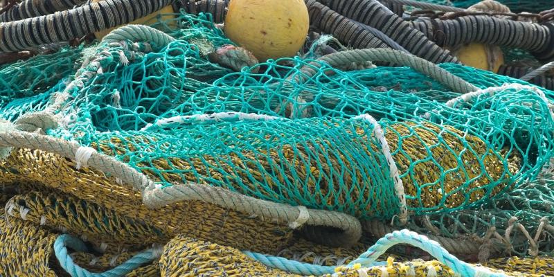 Killybegs man reeled in during snorkelling voyage to land salmon