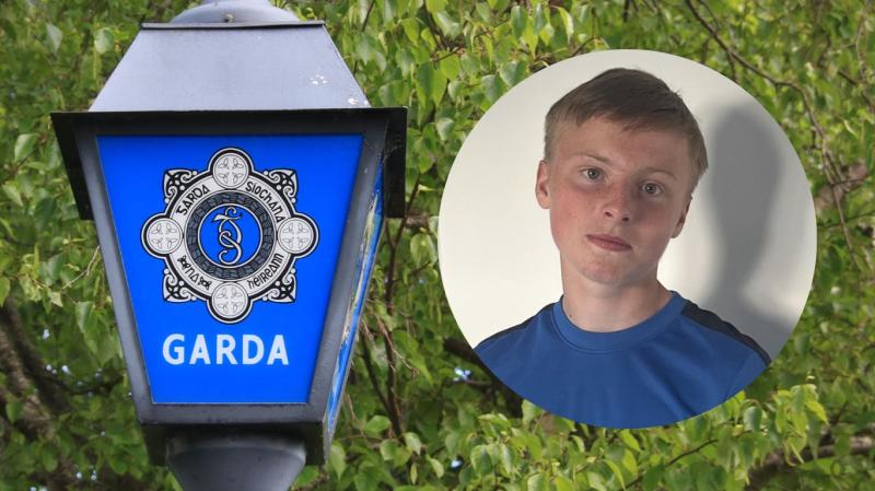 Gardai seek help in locating missing teenager