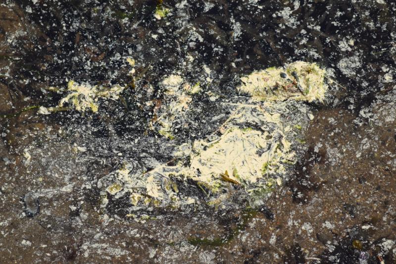 Grave concern over 'yellow substance with chemical odour' in water at Mountcharles