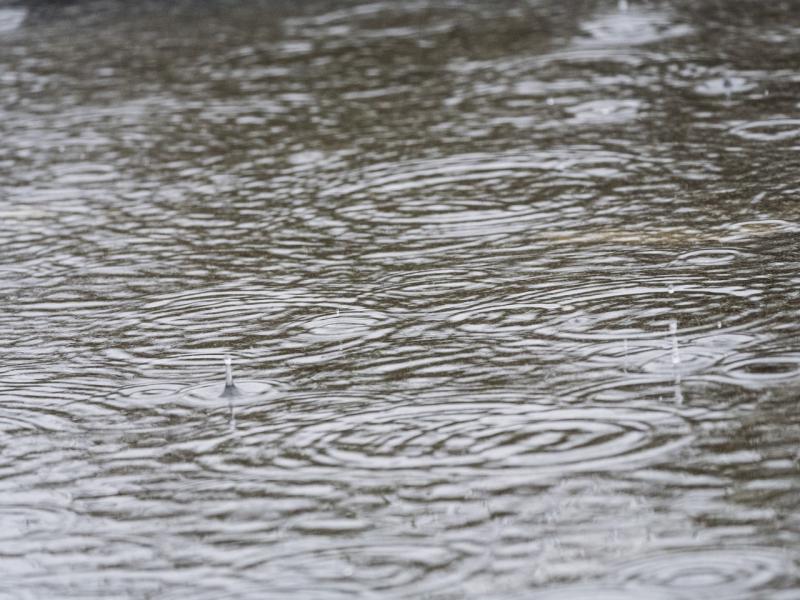 ALERT: Torrential downpours forecast as Met Éireann issues warning for five counties