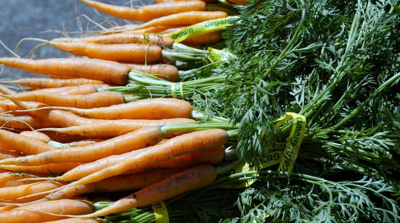 New farmers market coming to Rossnowlagh - have you got produce to sell?