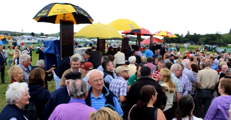 Watch: Save the date - the Ballintra Races are back this August Bank Holiday