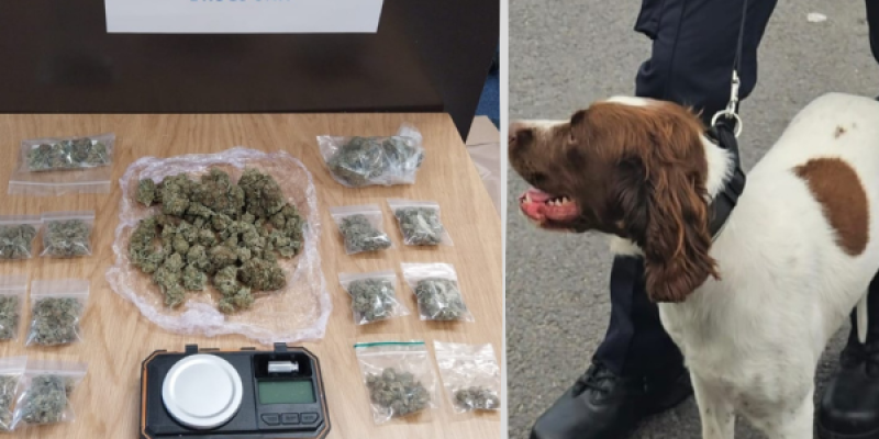 Four arrested as €16,000 worth of drugs seized in Donegal