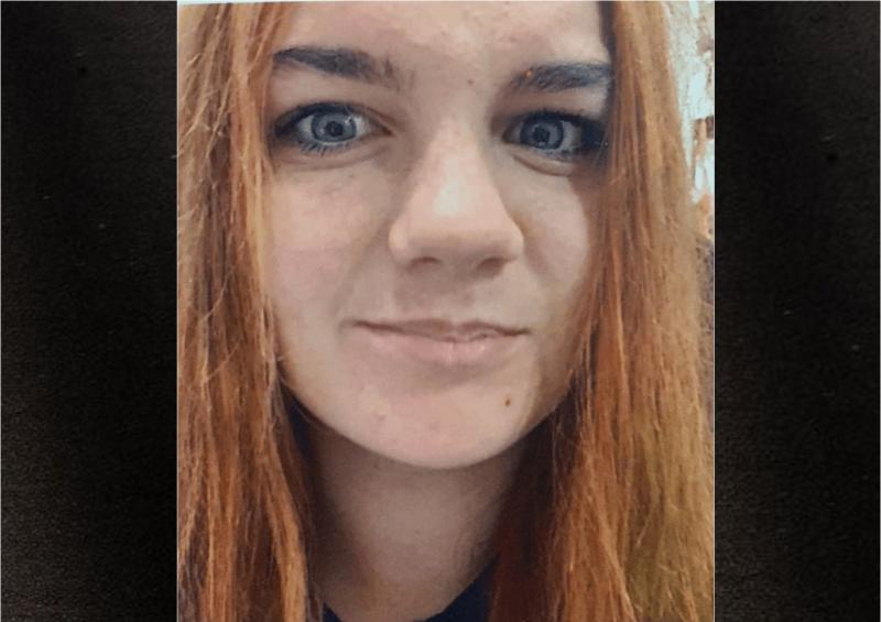 Gardaí in urgent appeal to public as 16-year-old girl goes missing in Wexford 