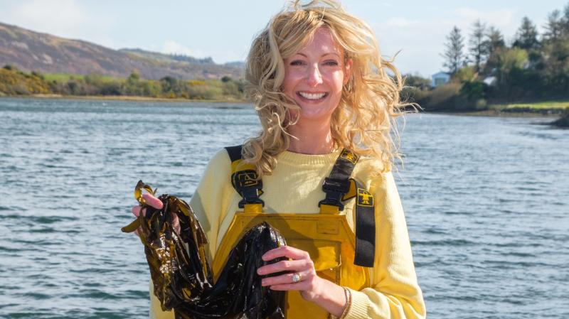 Making waves in Donegal with Sustainable and Innovative Seaweed Solutions
