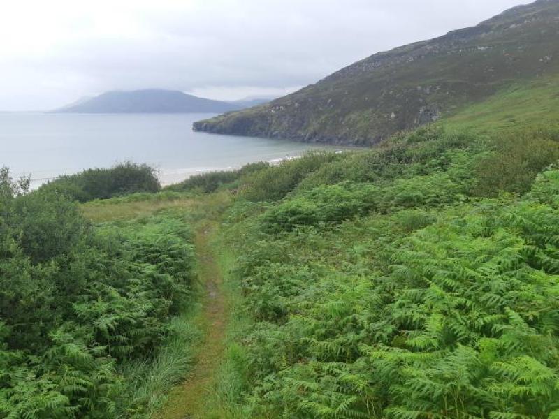 A cloudy start for Donegal with rain expected come afternoon