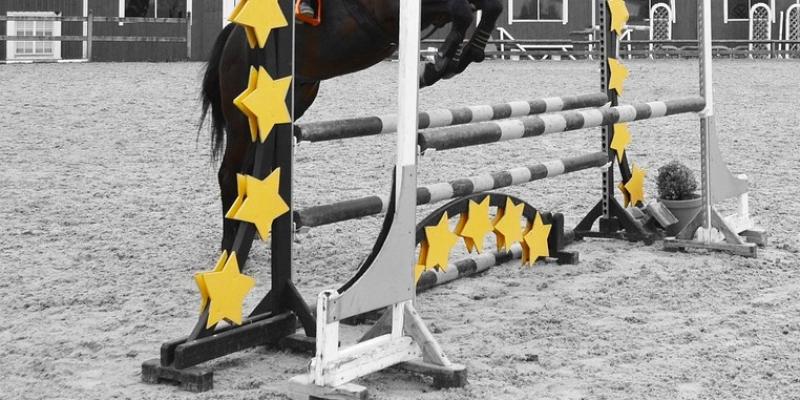 Garda probe after theft of show jumping equipment in Cruit Island