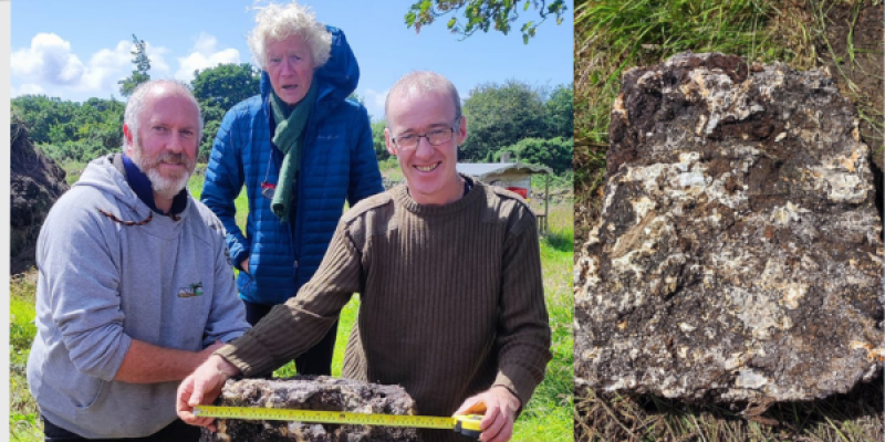 Donegal farmer unearths ancient slab of bog butter
