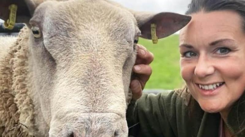 Cutting edge film on regenerative farming at Clonmany festival 