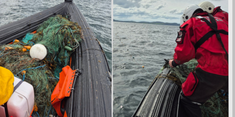 'Six Olympic pool lengths' of illegal fish netting seized in Donegal waters