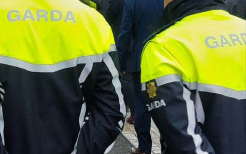 Medical and gardai help needed for local Fanad resident after 'savage' dog attack 
