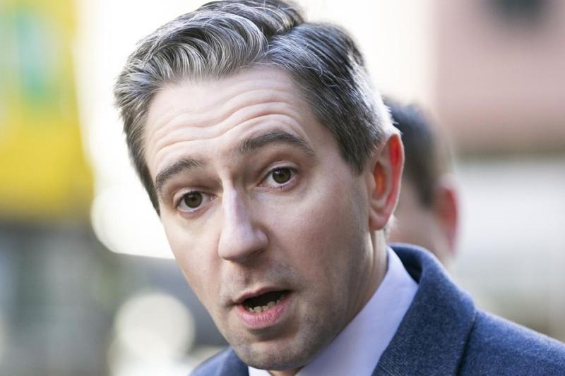 Woman (60s) arrested over alleged harassment of Taoiseach Simon Harris at his home