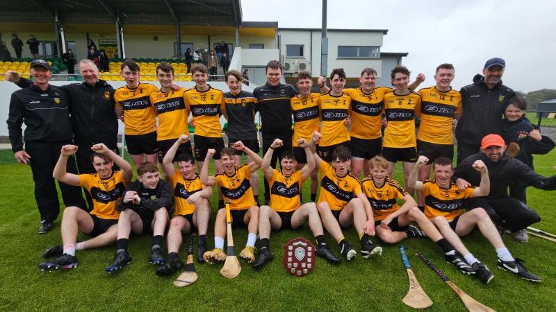 St Eunan's clinch victory against Aodh Ruadg in Donegal Minor B hurling final