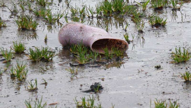 Weather: Milder temperatures to continue but rain makes a return to Donegal