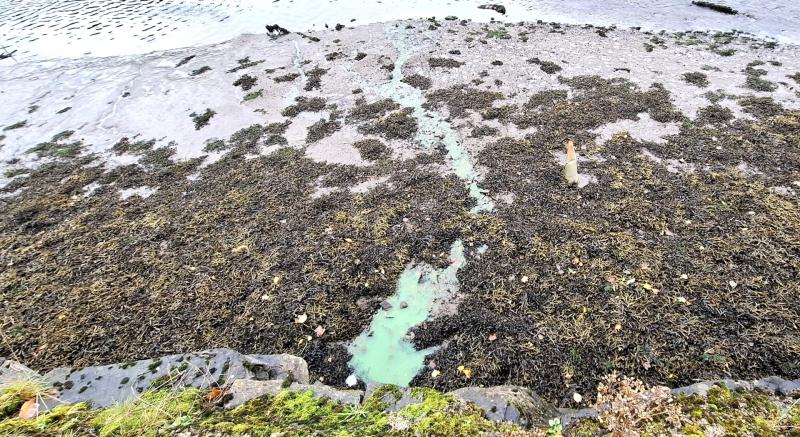 Bright green liquid flowing into Donegal Bay is not a cause for alarm