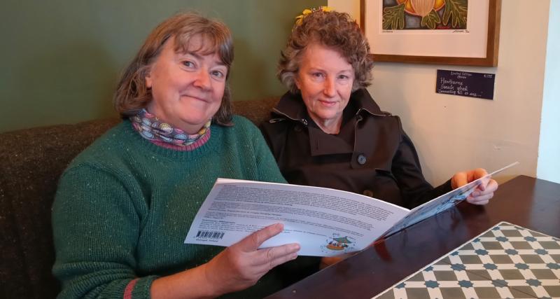 Donegal duo shortlisted for award for groundbreaking children’s book 