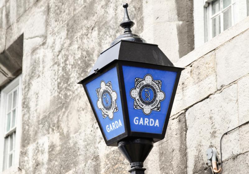 Man arrested following alleged assault on Roderic O'Gorman while on election canvass
