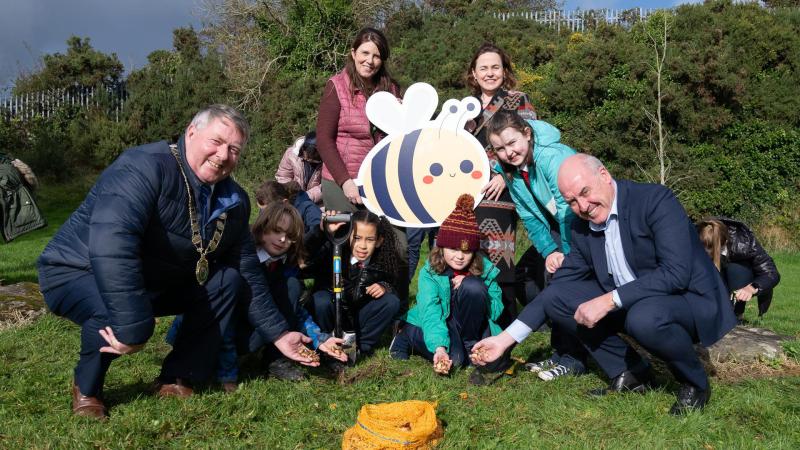 Donegal County Council invites public input for County Biodiversity Action Plan
