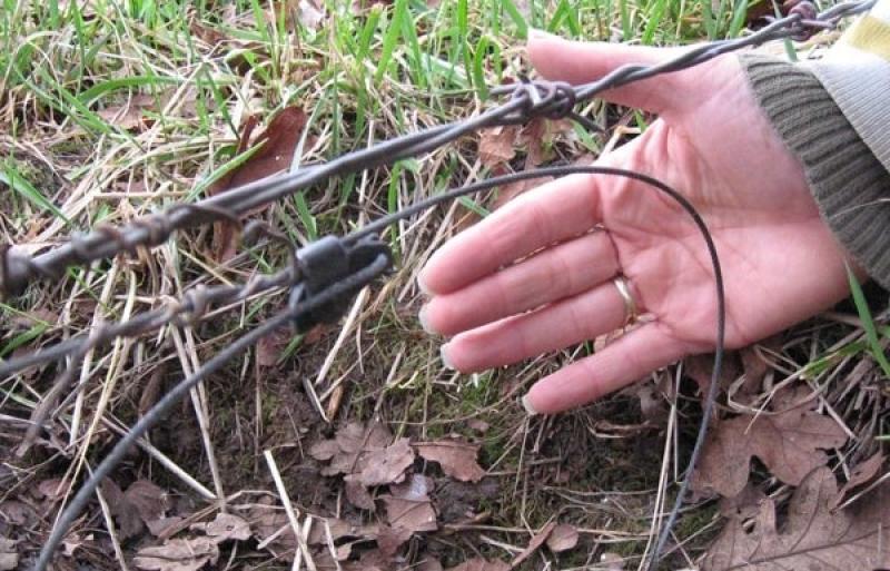 Warning of illegal snares in Fanad area posing danger to pets and wildlife