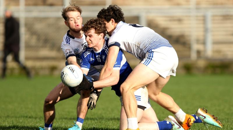 Four Masters set for first U-21 championship final in 23 years