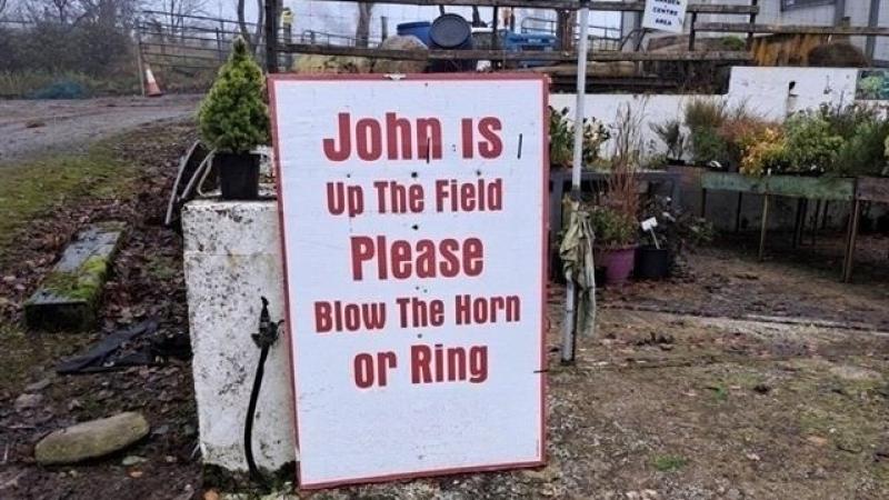 'Ye know yer living in Donegal when buying Christmas trees there's sign like this'