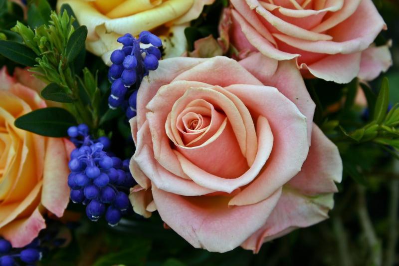 Death notices for Donegal on Sunday morning, December 22