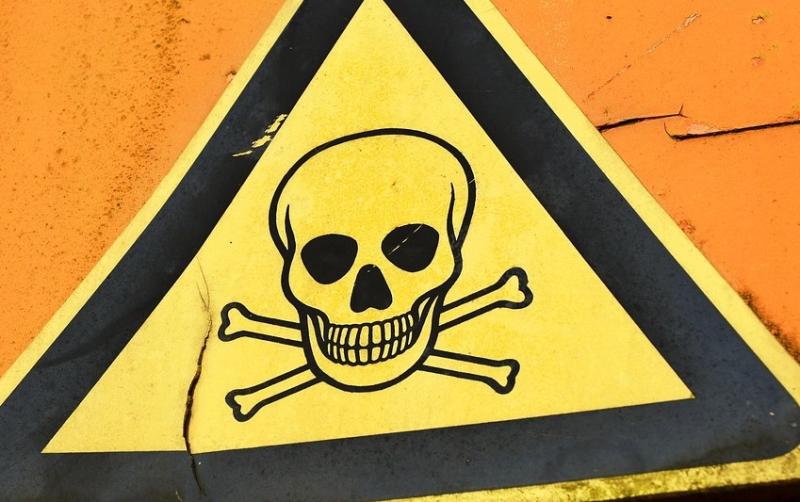 Warning to south Donegal pet owners as cat dies from poisoning