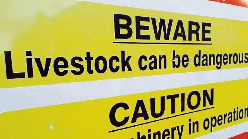 Figures show Donegal was at the lower end of farm inspections in 2024