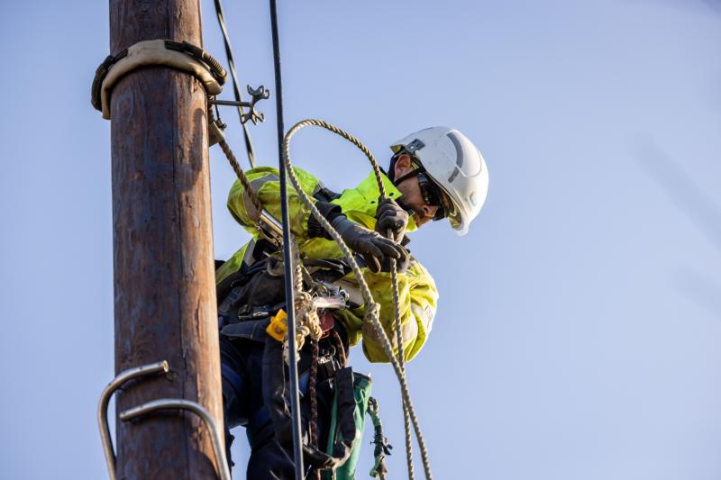 Storm Éowyn leaves around 15,000 Laois homes and businesses wihtout power as ESB website crashes