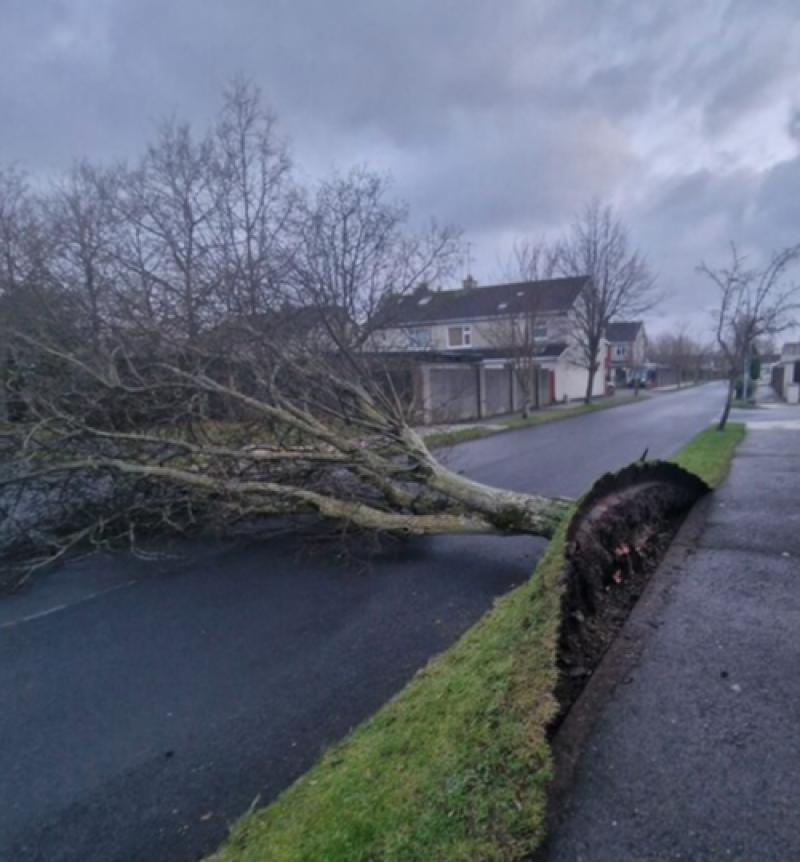 UPDATE: Irish Rail- 'NO TRAINS operating' as Storm &Eacute;owyn wreaks havoc