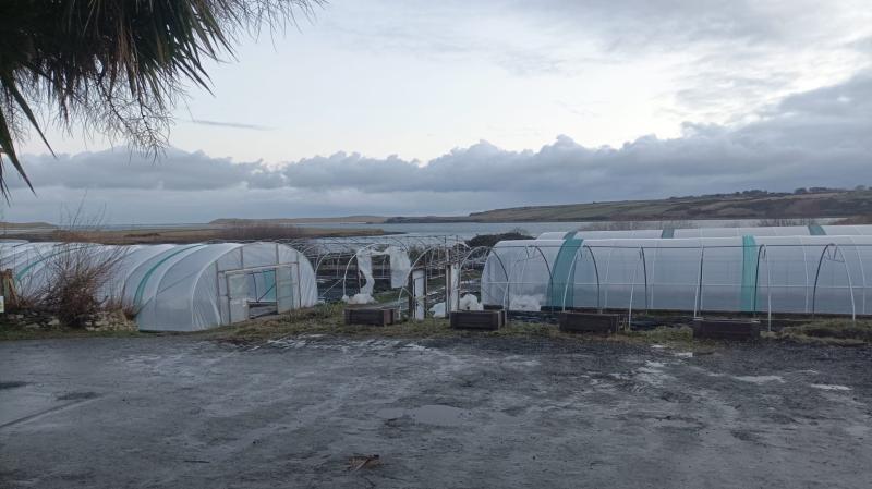 Falcarragh’s Cill Ulta hopes to get back on its feet after €50k Storm Éowyn damage