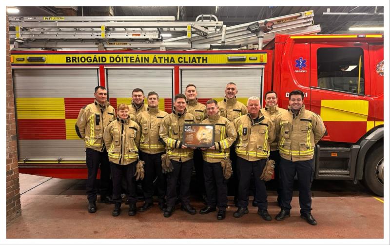 'Thank you for saving Biscuit' - Firefighters awarded for rescuing cat from burning house
