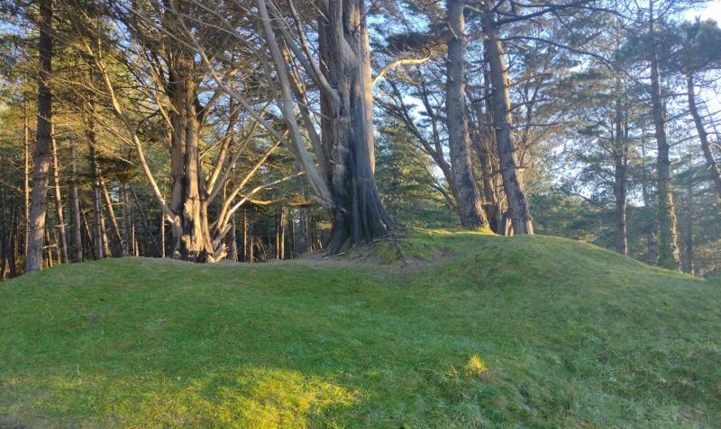 Murvagh