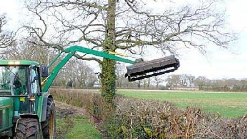 Letterkenny traffic gridlock due to hedge-cutting described as 'sheer madness'