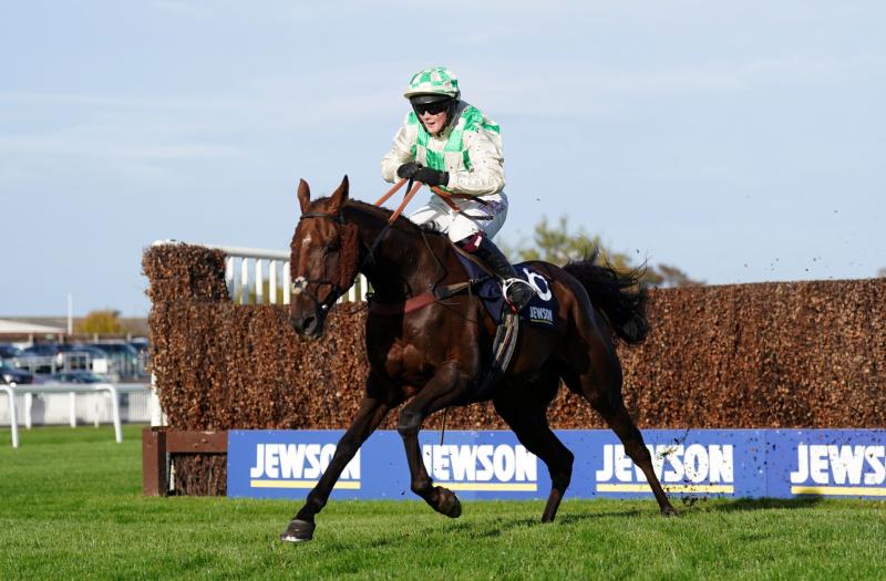 'It's gutting' - Sad death announced of Grand National runner Celebre d&rsquo;Allen