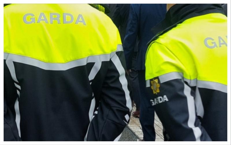 Garda&iacute; arrest man (20s) in connection to series of accommodation fraud
