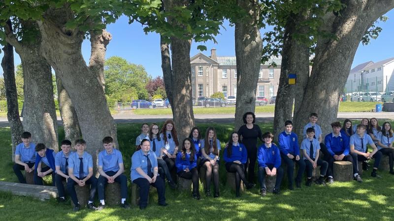 Storm-felled trees given new lease of life in outdoor classroom