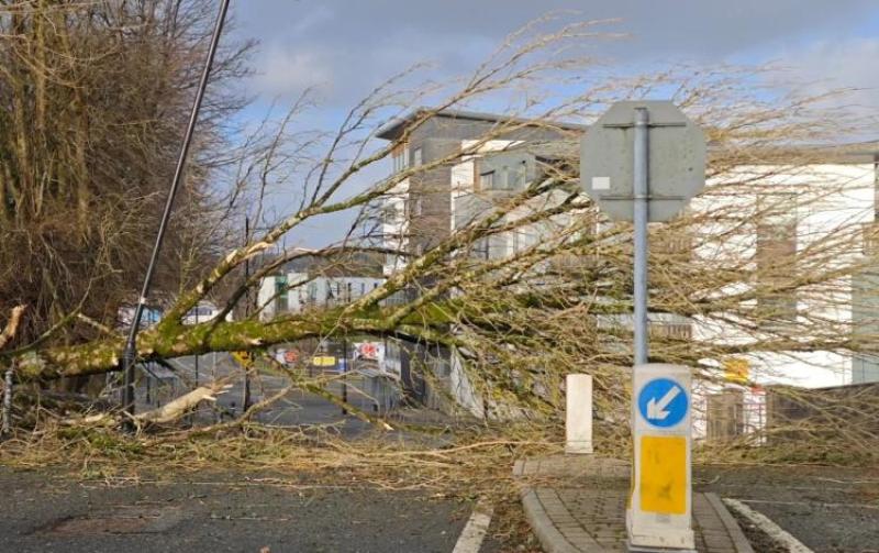 Safeguarding action yet to be taken after Storm &Eacute;owyn destroyed lives across the country