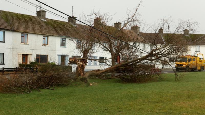 Donegal makes the 11th most Storm Éowyn assistance claims