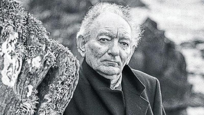 Donegal to celebrate literary great Brian Friel in cross-border project