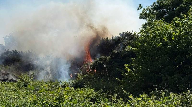 With hot weather and possible gorse fires, outside barbeques 'not the best idea'