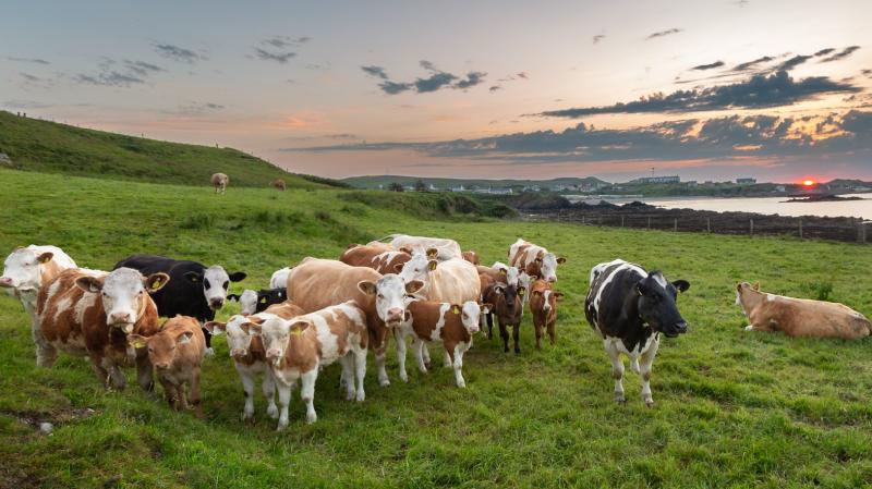 We are living through a Global Warning – and Donegal is not immune