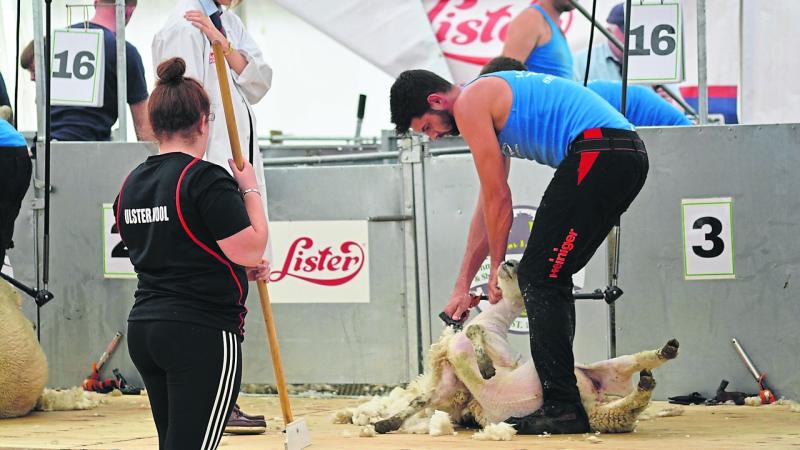 Clonmany ‘in a good place’ to host 2029 World Sheep Shearing Championships