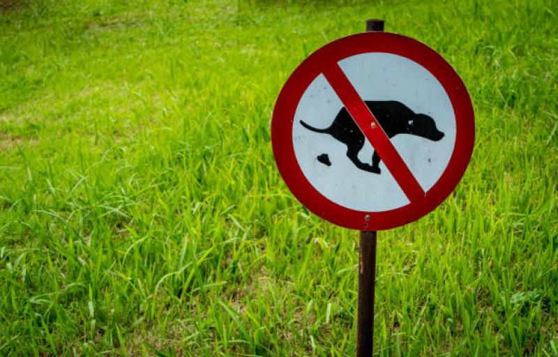 Data reveals Donegal County Council had zero dog fouling fines in 2024