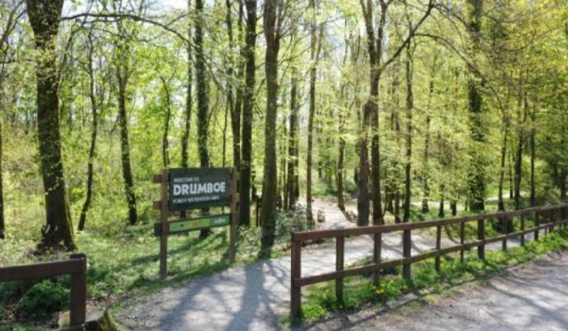 Councillor will 'take an angle grinder' to gate blocking a walkway in Stranorlar