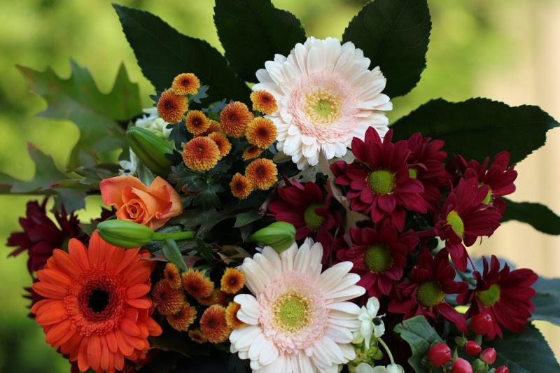 Death notices for Donegal on Monday morning, September 8