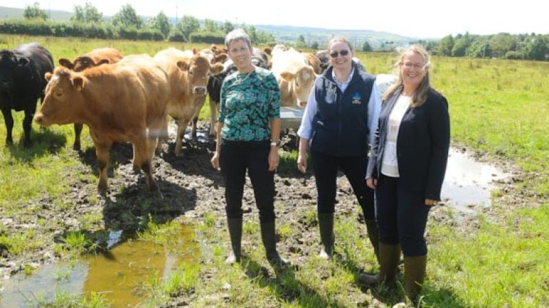 ATU to announce head of Ireland’s newest veterinary programme at Ploughing