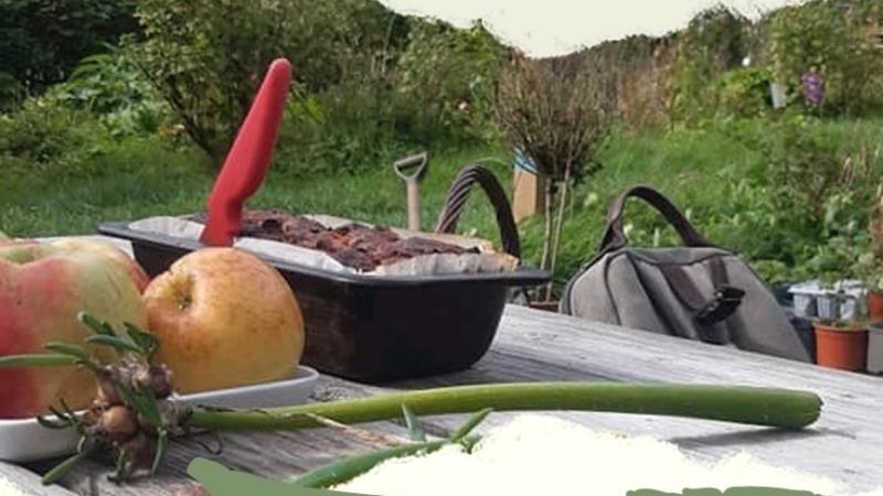 Farm and Garden Open Day at Joy Farm at Ards Friary this Saturday