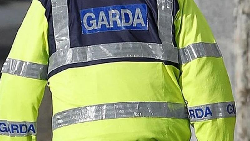 Gardai in criminal damage probe, after garden lights smashed by vandals