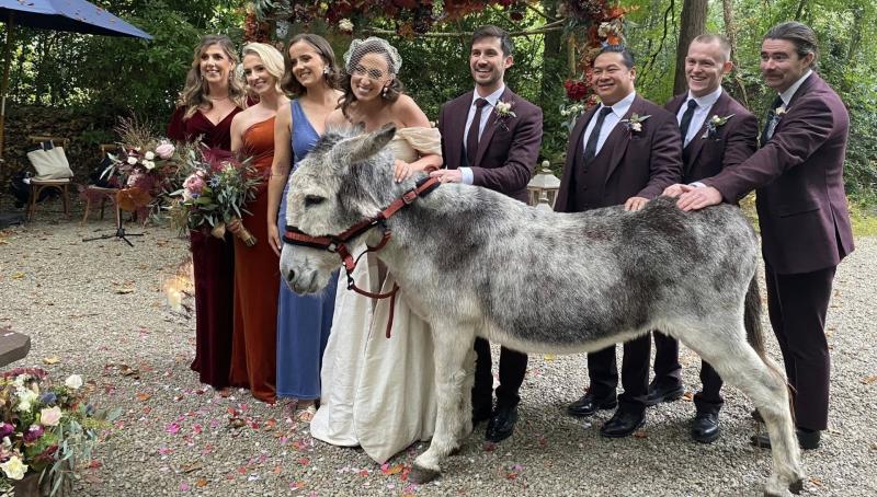 Hee-awww! Donegal Donkey Sanctuary's Quiney had a very special role 